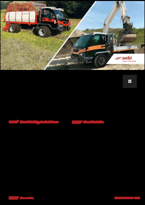 Veicoli comunali multiuso diesel Aebi TP 470 Vario