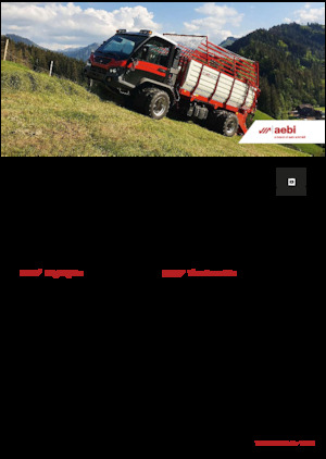 Veicoli comunali multiuso diesel Aebi TP 470 Vario