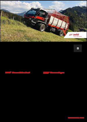 Veicoli comunali multiuso diesel Aebi TP 470 Vario