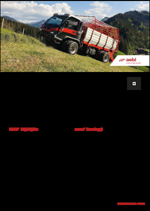 Veicoli comunali multiuso diesel Aebi TP 470 Vario