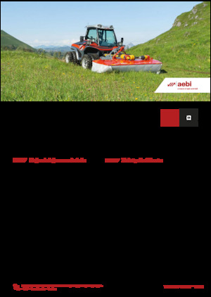 Veicoli comunali multiuso diesel Aebi TT 211+