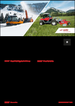 Veicoli comunali multiuso diesel Aebi TT 281+ 