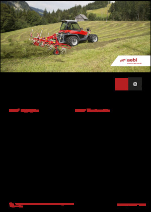 Veicoli comunali multiuso diesel Aebi TT 241+