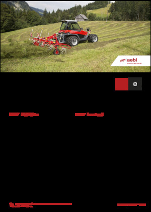 Veicoli comunali multiuso diesel Aebi TT 281+ 