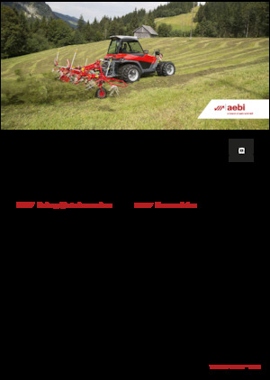 Veicoli comunali multiuso diesel Aebi TT 281+ 