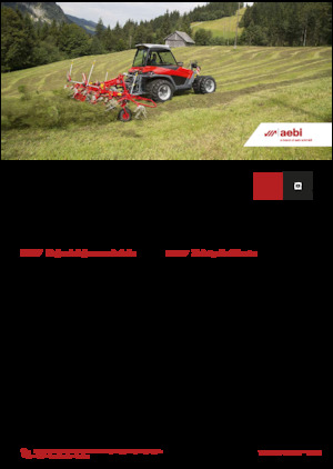 Veicoli comunali multiuso diesel Aebi TT 281+ 