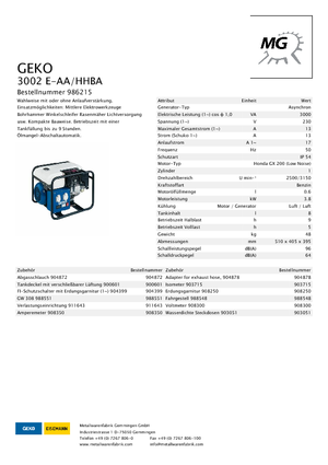 Generatori a benzina Geko ® 3002 E-AA/HHBA*