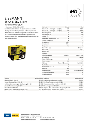 Generatori a benzina Eisemann BSKA 6.5 EV