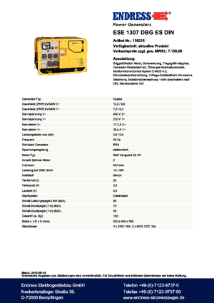 Generatori a benzina Endress ESE 1307 DBG ES DIN
