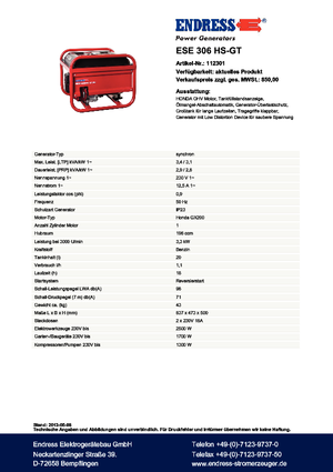 Generatori a benzina Endress ESE 306 HS-GT