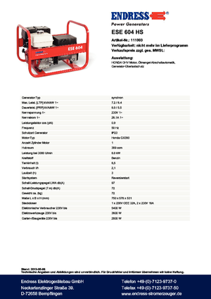 Generatori a benzina Endress ESE 604 HS