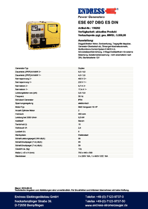 Generatori a benzina Endress ESE 607 DBG ES DIN