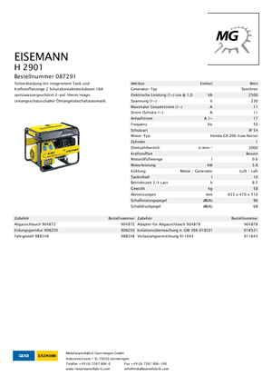 Generatori a benzina Eisemann H 2901