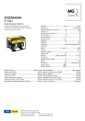 Generatori a benzina Eisemann P 7401