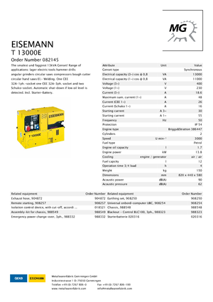 Generatori a benzina Eisemann T 13000 E