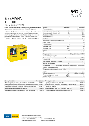 Generatori a benzina Eisemann T 13000 E