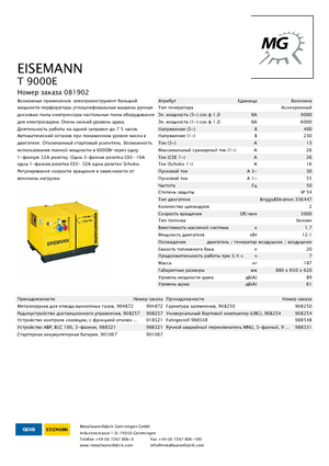 Generatori a benzina Eisemann T 9000 E