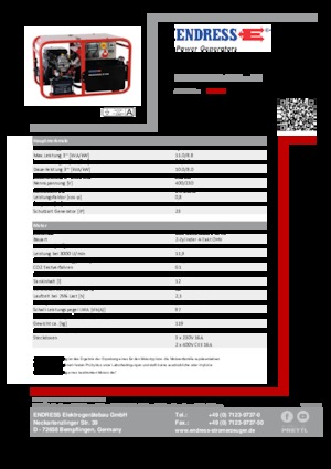 Generatori a benzina Endress ESE 1006 DBS GT