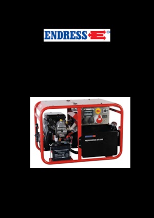 Generatori a benzina Endress ESE 1006 DBS GT ES