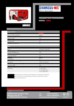 Generatori a benzina Endress ESE 1006 HG-GT ES ISO Duplex