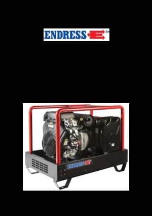 Generatori a benzina Endress ESE 2006 DBS-GT ES 