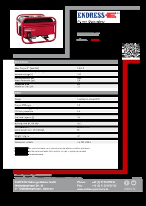 Generatori a benzina Endress ESE 306 HS GT