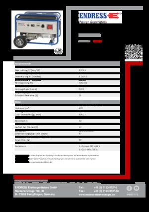 Generatori a benzina Endress ESE 6000 DBS