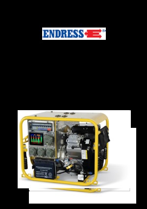 Generatori a benzina Endress ESE 604 DBG DIN