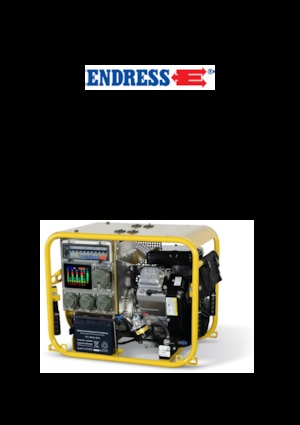 Generatori a benzina Endress ESE 604 DBG ES DIN