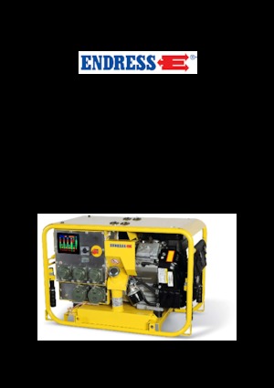 Generatori a benzina Endress ESE 904 DBG DIN