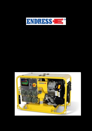 Generatori a benzina Endress ESE 904 DBG ES DIN