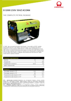 Generatori a benzina PRAMAC Lifter S 12000