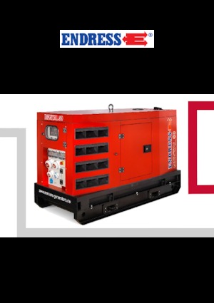 Generatori diesel Endress ESE 45 YW/RS
