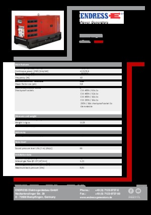 Generatori diesel Endress ESE 45 YW/RS
