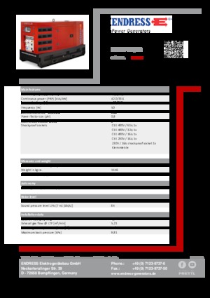 Generatori diesel Endress ESE 50 YW/RS