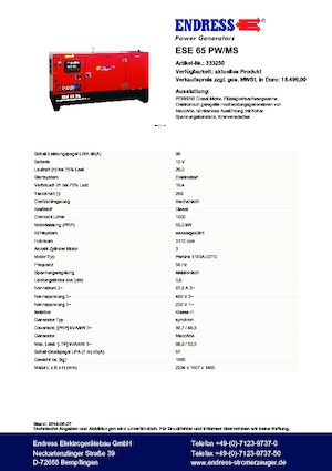Generatori diesel Endress ESE 65 PW/MS
