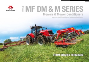 Falciatrici a dischi disco senza condizionatore Massey Ferguson DM306 TL