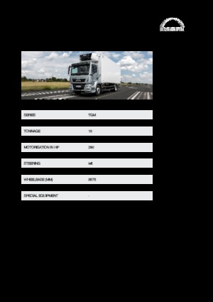 Telaio rigido MAN TGM 15.290 4x2