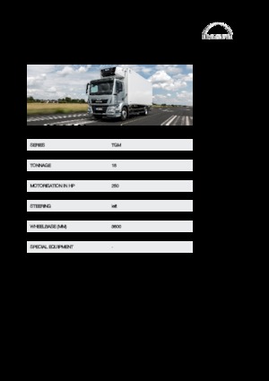 Telaio rigido MAN TGM 18.250 4x4