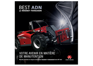 Sollevatori Telescopici Fissi Massey Ferguson MF 9306