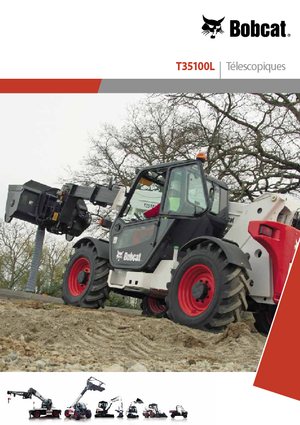Sollevatori Telescopici Fissi Bobcat T 35100 L