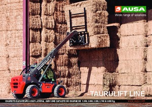 Sollevatori Telescopici Fissi Ausa T 235 H