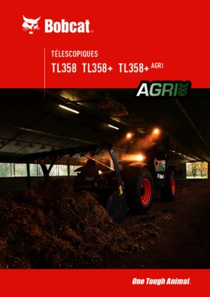 Sollevatori Telescopici Fissi Bobcat TL358