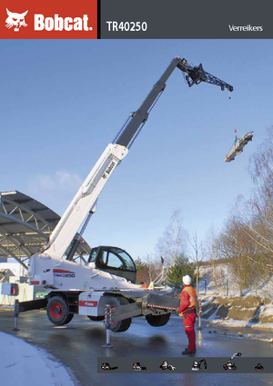 Sollevatori telescopici con torretta girevole Bobcat TR40250