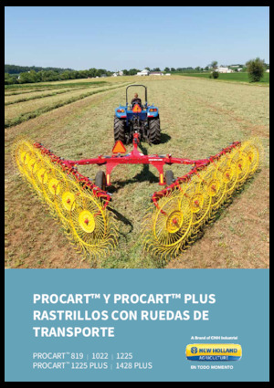Ranghinatori rotativi New Holland 819