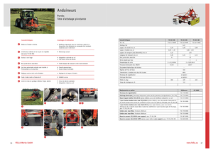 Ranghinatori rotativi Fella TS 301 DN