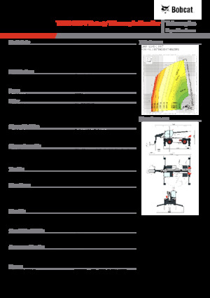Sollevatori telescopici con torretta girevole Bobcat TR60.350