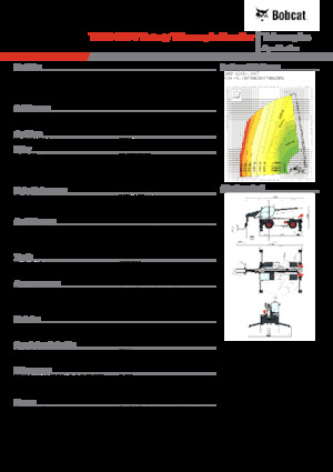 Sollevatori telescopici con torretta girevole Bobcat TR60.350
