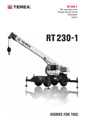Gru fuoristrada Terex Bendini RT 230-1