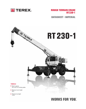 Gru fuoristrada Terex Bendini RT 230-1